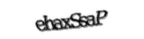 Security check image, please type the characters shown